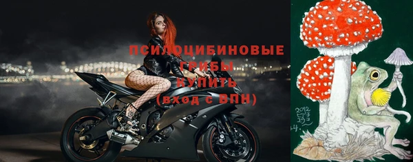 не бодяженный Надым
