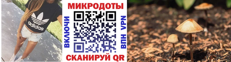 наркота  Алагир  Галлюциногенные грибы мицелий 